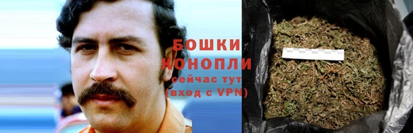дурь Алексеевка