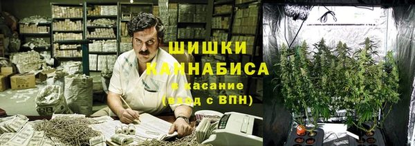 амф Алексин
