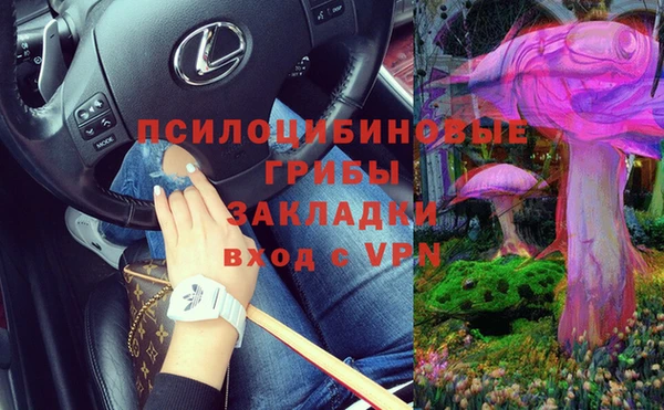 дурь Алексеевка